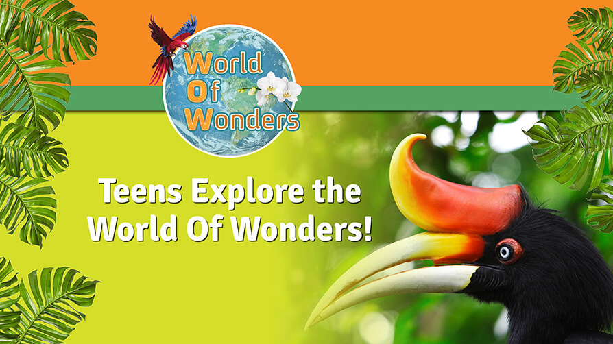 Read more about the article Nature-Themed World of Wonders Launched for Beginning English Students
